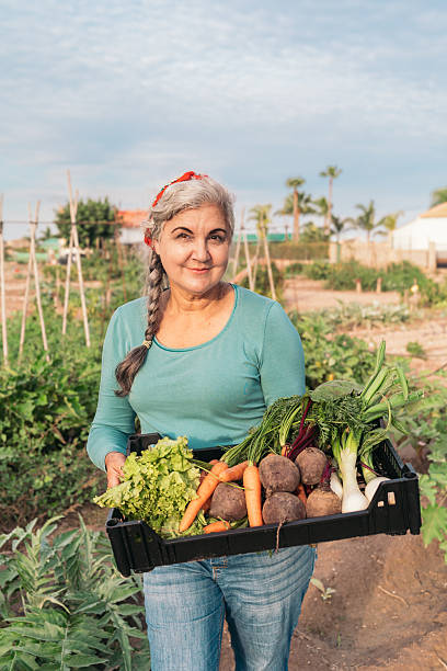 Senior woman gardener smiling while holding a crate with organic vegetables