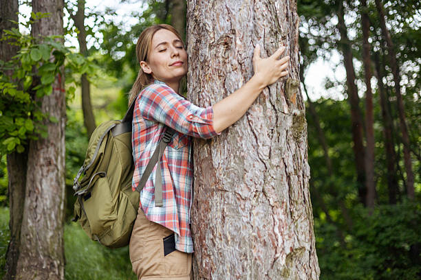 istock Woman Hugging Tree In Forest During Hiking Trip 2255207453