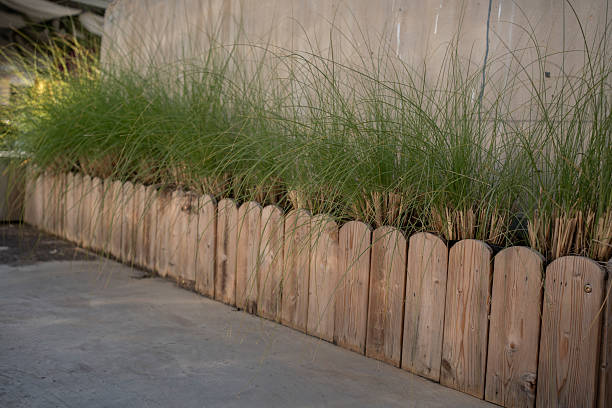 istock Green plants on wooden flower pots 2255208919