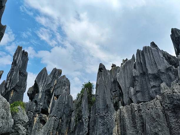 Hezhou Jade Forest Scenic Area is a national AAAA-level tourist attraction. It was formed during the Jurassic period about 100 million years ago and features distinctive peak clusters and other karst landforms.It attracts a large number of tourists and geologists to visit.