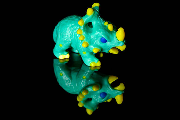 Toy Chasmosaurus on a black glass background