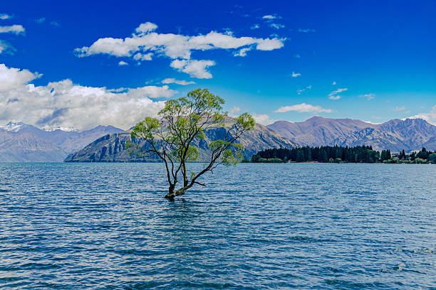 istock Solitary Tree Tranquil Mountain Lake Landscape 2255223660