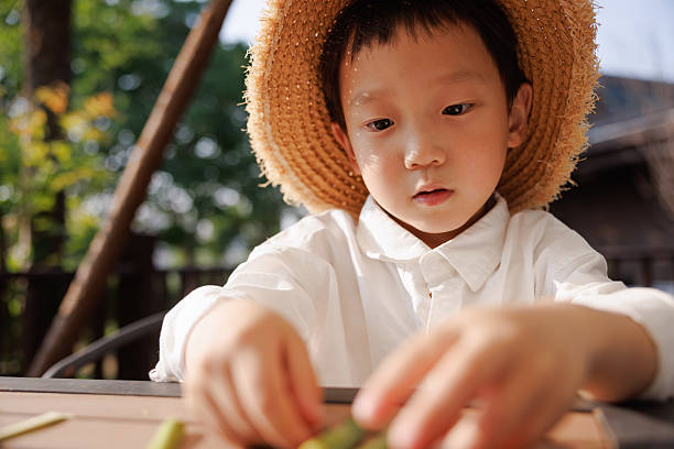 A little boy is sitting at a table outdoors, observing plants