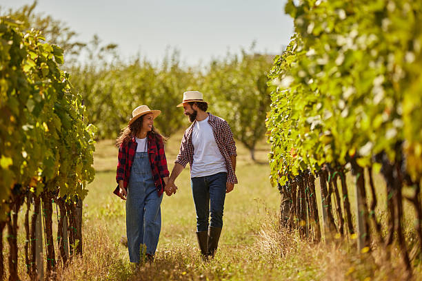 istock Young couple walking hand in hand through vineyard 2255233144