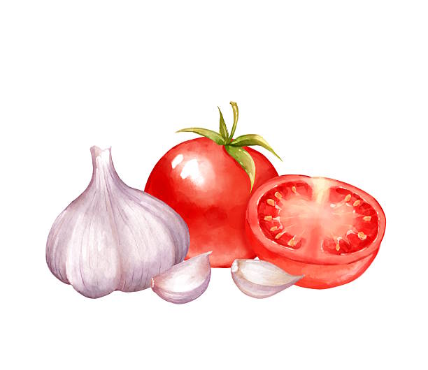 istock Hand-drawn illustration of tomato and garlic bulb with cloves 2255233716