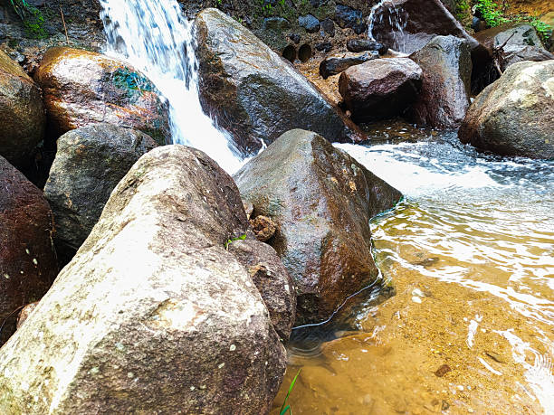 Pristine Freshwater Creek with Smooth River Stones and Rapid Flow