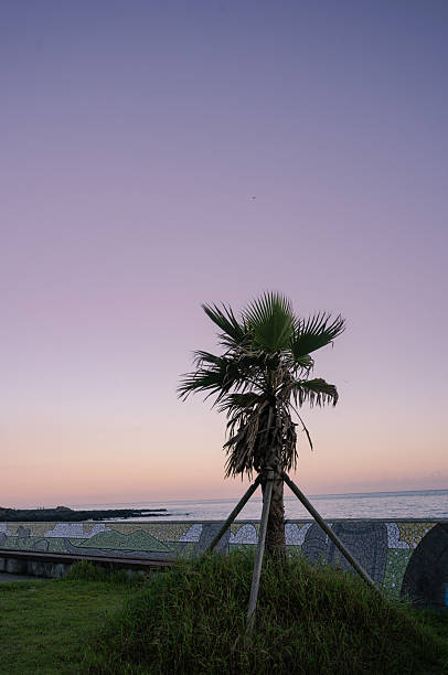 a beautiful beach at sunset on Jeju Island