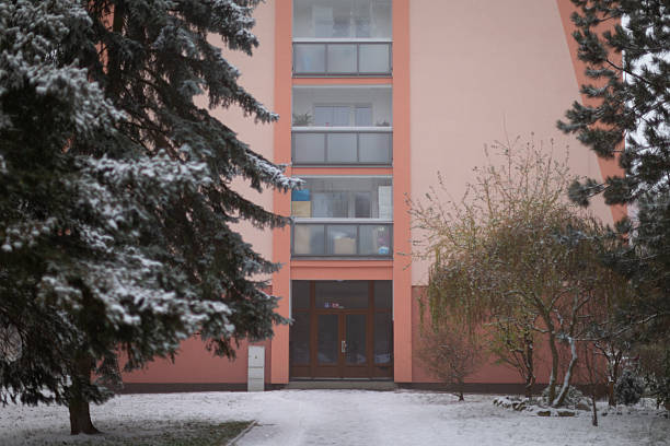 snowy path leading to apartment entrance, pine trees and shrubs flank walkway, soft pink facade in background, concrete steps and stoop show winter wear, quiet communal threshold