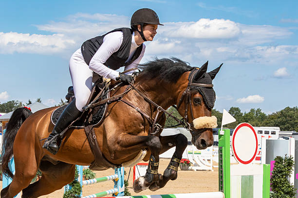 istock Female show jumper side view. 2255247973