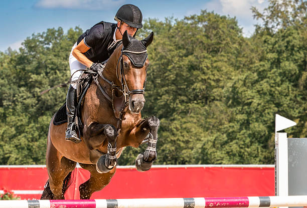 An experienced female show jumper is crossing a hurdle in full action.Canon EOS 5D Mark IV, 1/1000, f/13, 125 mm.
