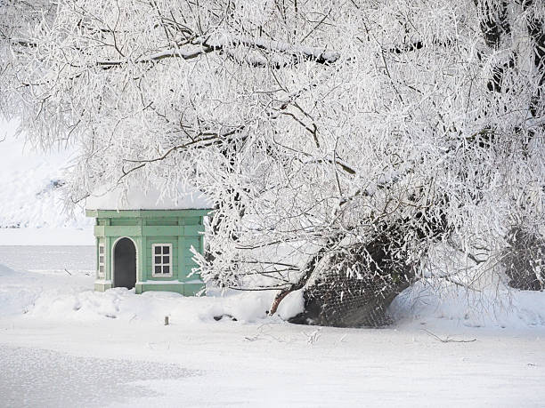 The swan small house is covered in snow. The house is surrounded by a tree with snow on it. Scene is peaceful and serene, with the snow covering the ground and the tree providing a sense of shelter
