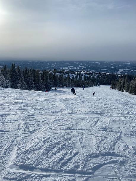 Skier silhouette on a misty ski slope