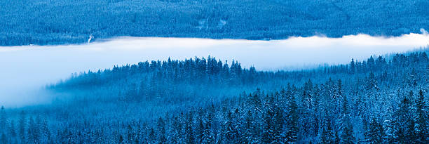 Snow and Cloud covered Canadian Nature Landscape Background. Winter Season in Squamish, British Columbia, Canada. Sunny Sky