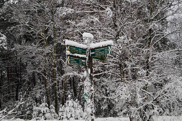 Starker Schneefall im Naturschutzgebiet Fischbeker Heide
