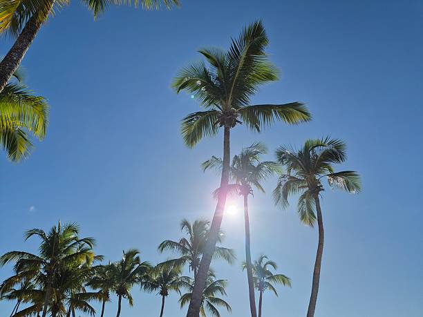 Cayo Levantado Island, Dominican Republic.
