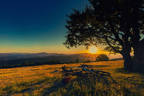 Aerial view of woman riding mountain bike on flowering grassland mountain trail