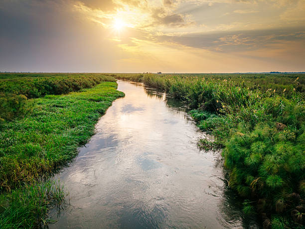 istock Okavango Delta River Sunset Landscape With Lush Green Banks 2255262740