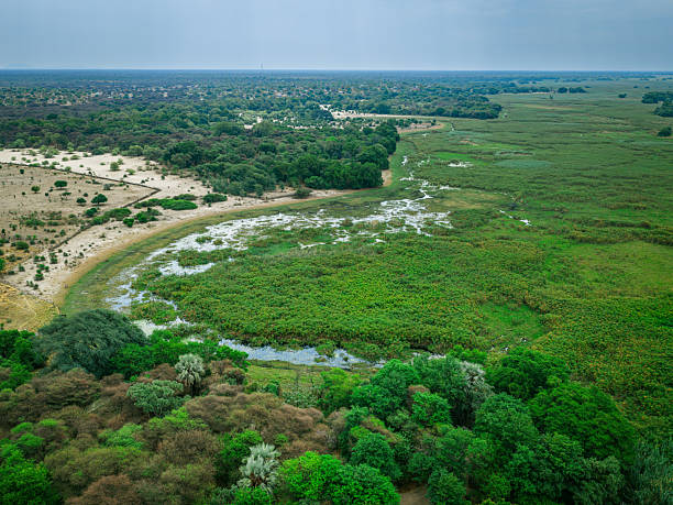Aerial view of the Okavango Delta showing the annual flood as water noves into aread that have been dry for months. Botswana