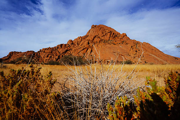 A bold red rock formation rises above dry Namibian grassland at Spitzkoppe, Namibia. Rugged monolith contrasts with pale shrubs and a clear blue sky, creating a dramatic desert landscape.