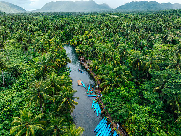 Aerial view over dense palm forest on Siargao Island, Philippines, featuring a narrow river with wooden walkways and blue boats. Scenic tropical landscape highlighting island life and waterways.