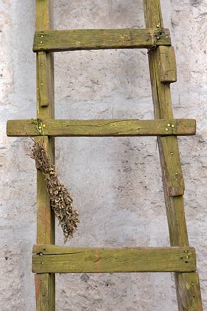 Wooden ladder standing against a wall. Decoration with