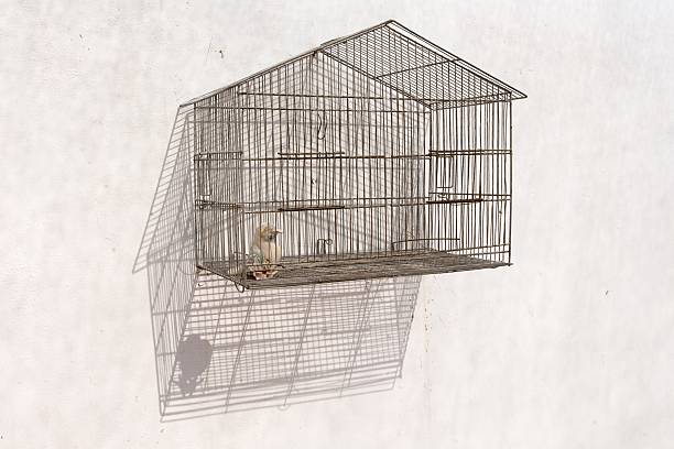 Bird cage at a wall with fake bird. Scenes and landscapes at Camana Peru. Camaná is a district capital located in the Arequipa Region of Peru