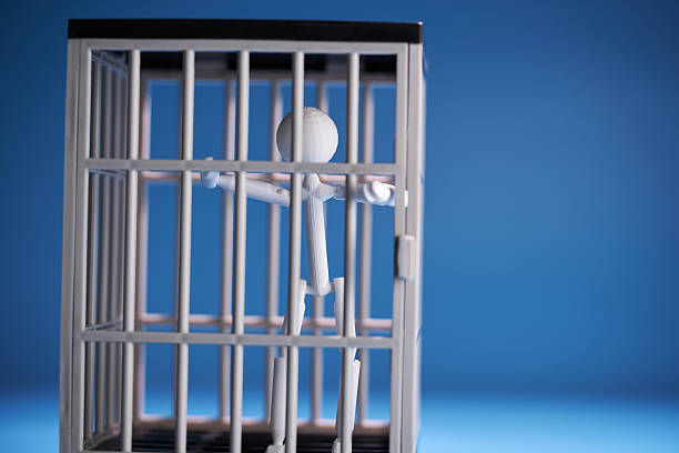 A blurred view of a person inside a tire, with metal bars in the foreground