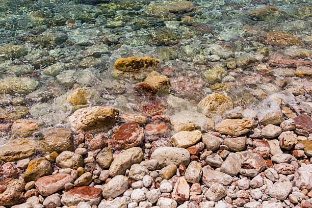 Clear coastal water with submerged algae and colorful rocks. Marine textures, biodiversity, and natural coastal ecosystem.