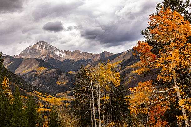 Rugged Snowcapped Mountains in Background. Beautiful Orange and Gold Autumn Colored Trees in Foreground. Moody Sky and Copy Space