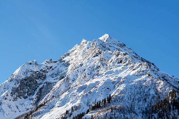 Snow-covered alpine peaks rise against a bright blue sky. The rugged slopes, conifer trees, and pristine winter scenery evoke adventure, solitude, and the beauty of high-altitude nature.