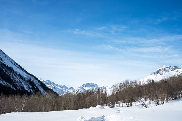 A peaceful winter scene featuring snow-blanketed valleys, snow-capped peaks, and leafless trees under a bright blue sky. Ideal for nature, travel, and outdoor lifestyle visuals.