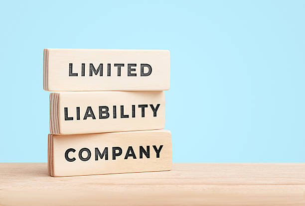istock Limited liability company concept with wooden blocks on blue background 2255286412