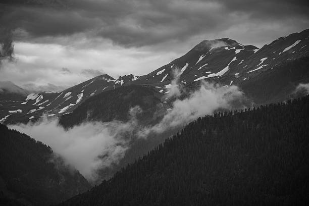 Rugged Mountain Range. Rustic Landscape. Dark Cloudy Sky. Copy Space. Black and White Trees in Foreground