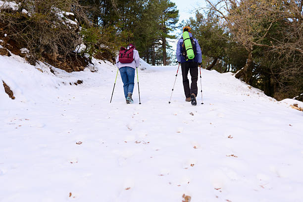 Two hikers trek up a snow-covered forest path, carrying backpacks and trekking poles. Winter scene with trees, footprints, and a sense of adventure.