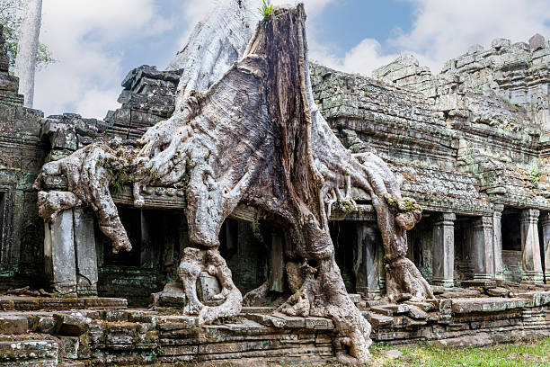 Exploring Ancient Ruins of Preah Khan Temple at Angkor, Siem Reap