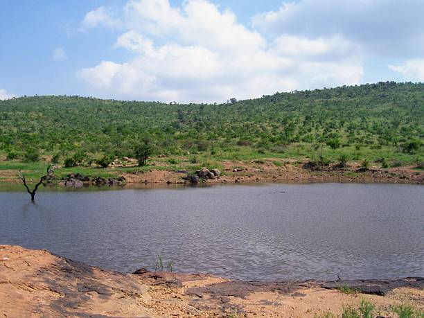 Scenic waterhole with lone dead tree standing in water, surrounded by rocky shoreline and green hills in African wilderness