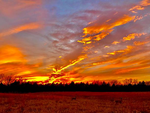 istock End of the Day 2255296341