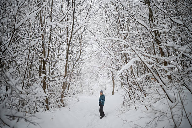 Young person exploring a tranquil snow-covered forest path, experiencing the cold winter outdoors and serene solitude