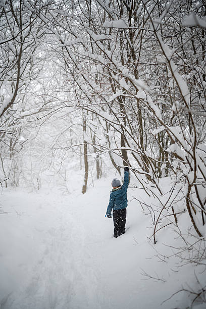 Child walking through a snow-covered forest, reaching up to touch a bare tree branch heavily laden with fresh white snow