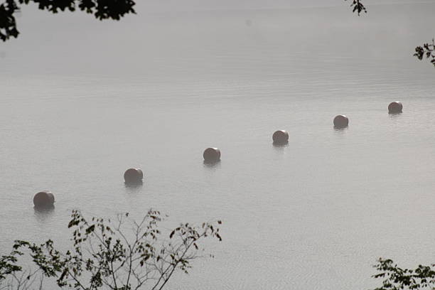 A grey toned picture of a lake in the morning with buoys lined up across the way.