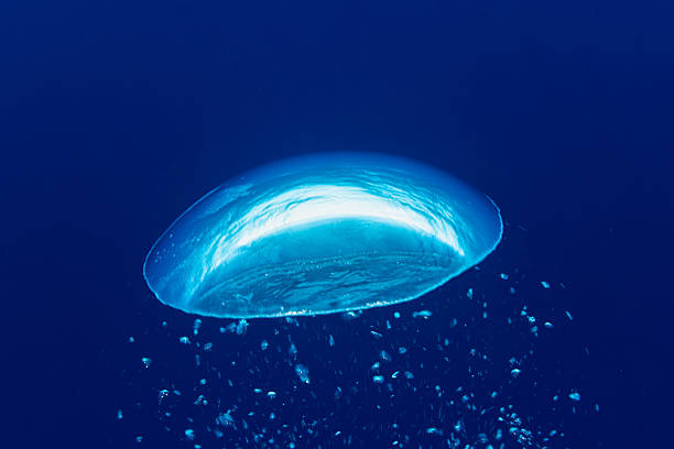 Underwater splash with bubbles.