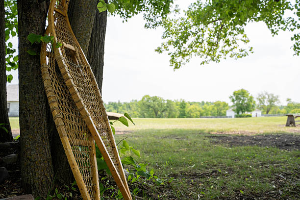 A pair of authentic, hand-crafted wooden snowshoes with rawhide webbing leaning against a mossy tree trunk. The background features a sprawling green summer field, a distant historical white building, and a bright sky. This image captures the intersection of traditional Indigenous craftsmanship and North American frontier history, evoking themes of winter survival, outdoor adventure, and heritage tools in a serene natural landscape