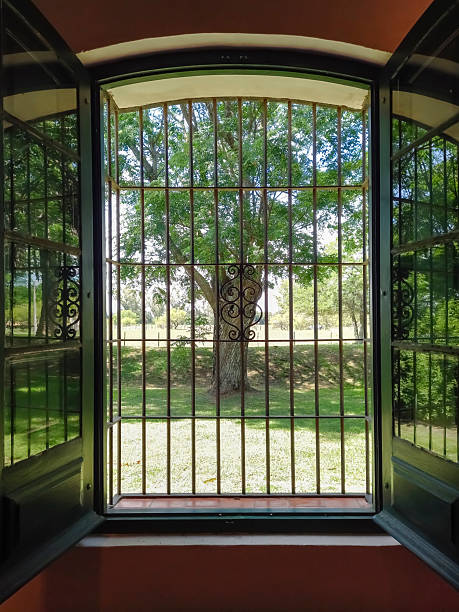 San Antonio de Areco, Argentina - Dec 14, 2025: View through an open window with wrought iron bars looking out onto a garden with a green lawn and a large tree