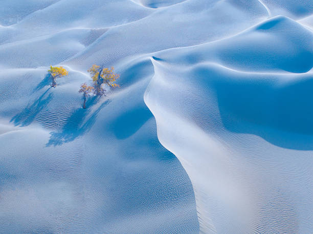 Surreal arid landscape of white dunes among rocky formations, El Penon, Puna, Catamarca, Argentina