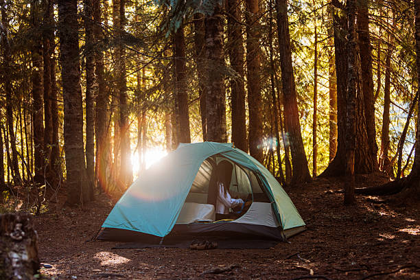 This is a photograph of a green dome camping tent set up in a grassy site surrounded by tall trees in the Washington & Jefferson National Forest in Virginia on a summer day.
