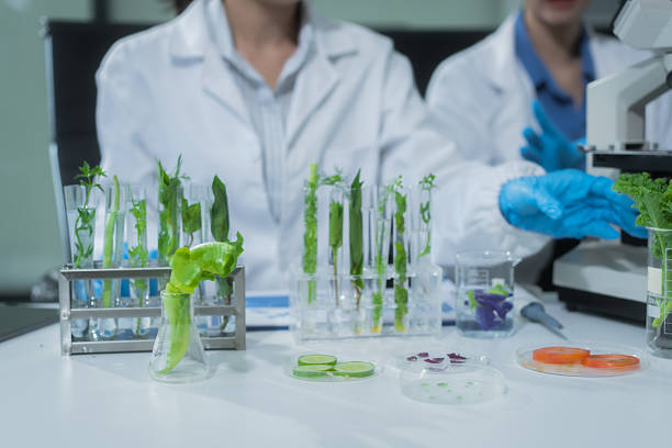DNA sequence with glass tube with grape sapling, concept of genetic modification on plant in agriculture.