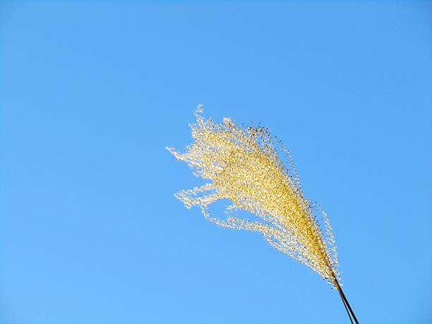 Nice sunny day in December.