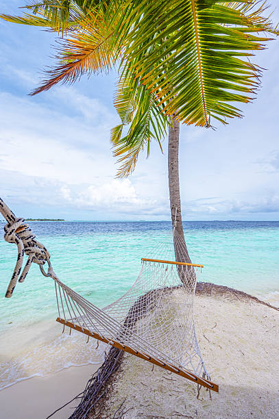 istock Hammock suspended between two coconut trees on a tropical beach 2255322169