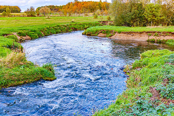 Water flows rapidly in Geleenbeek River in Absbroekbos conservation area valley, trees with lush green, yellow and red foliage in background, winter day in Munstergeleen, Limburg, Netherlands
