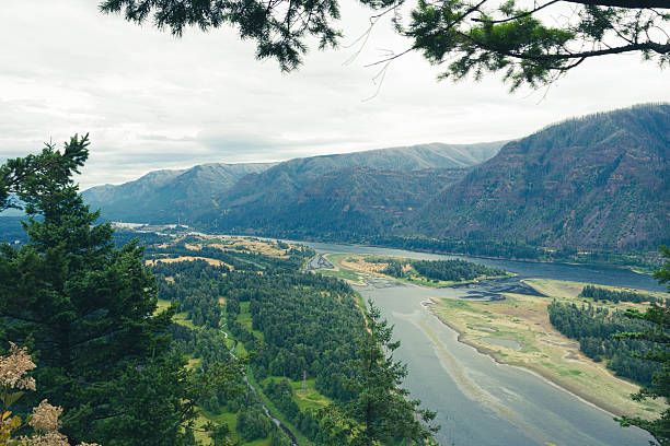 View across the Columbia River Valley, a lush landscape filled with dense pine forests and rocky mountain ridges.Taken at Beacon Rock State Park, a public recreation area and a massive basalt rock column in the Columbia River Gorge.